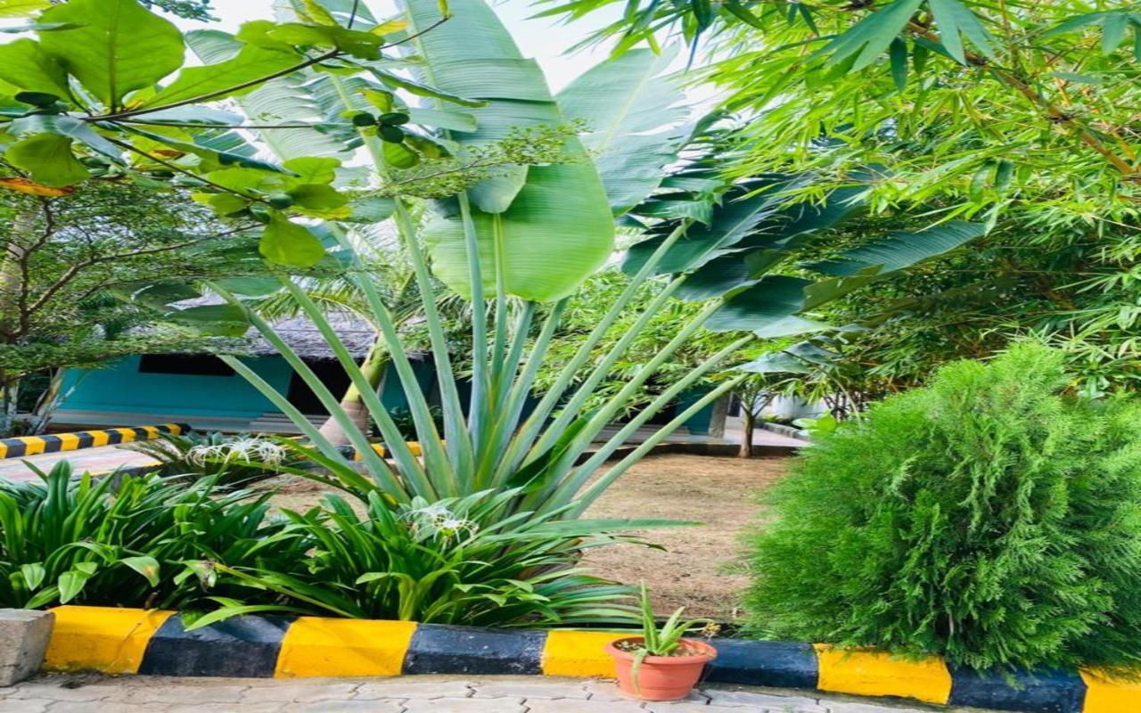 Hotel Megha Resort Hampi Εξωτερικό φωτογραφία